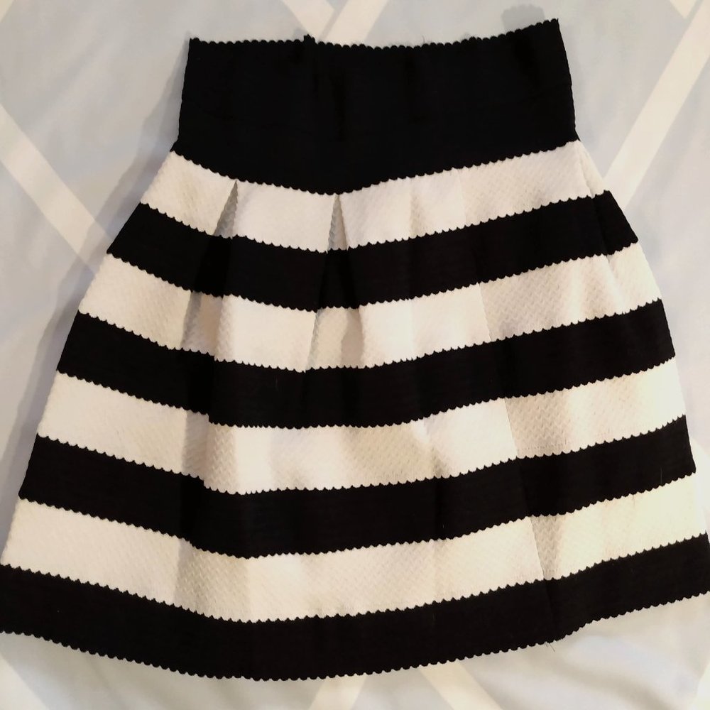 Ann Taylor Skirt